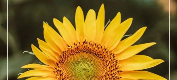 半岛体育网址-无畏前行，终将创造不可限量的成功的简单介绍