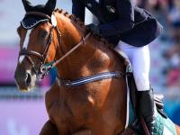 半岛体育视频-爱尔兰选手在马术比赛中获胜