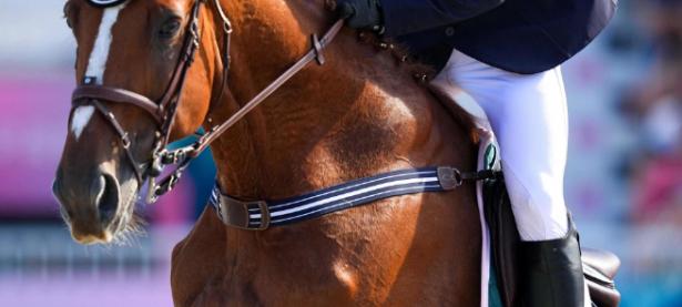 半岛体育视频-爱尔兰选手在马术比赛中获胜