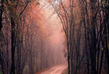 半岛体育注册-青少年足球培训夏令营课程揭晓