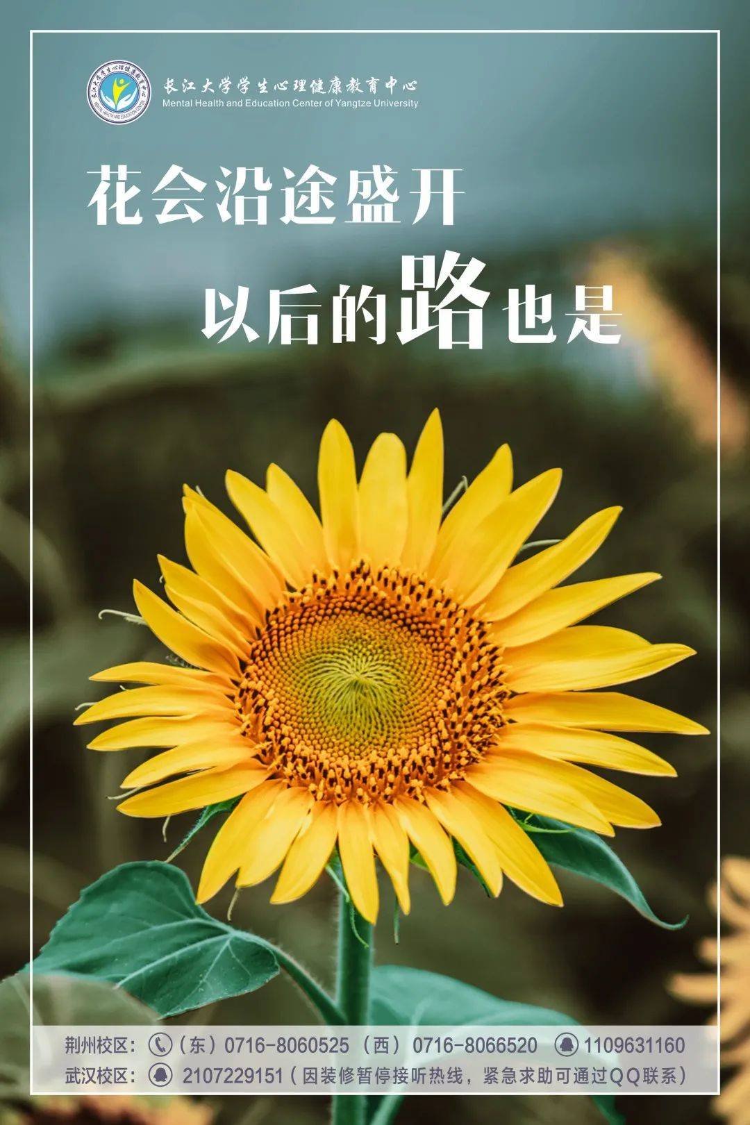 无畏前行,终将创造不可限量的成功的简单介绍 无畏前行,终将创造不可限量的成功的简单介绍