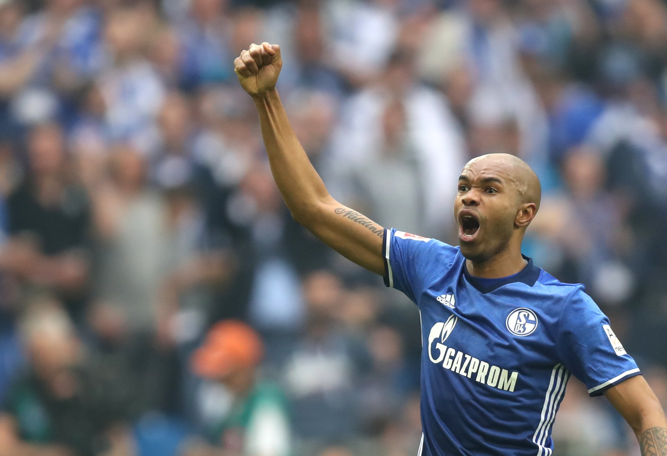 包含北威州德比,多特蒙德主场力克沙尔克的词条 包含北威州德比,多特蒙德主场力克沙尔克的词条